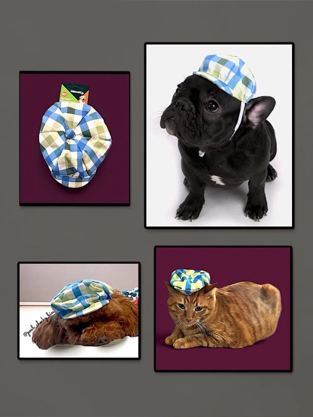 Vibrant Life Plaid Newsboy Hat